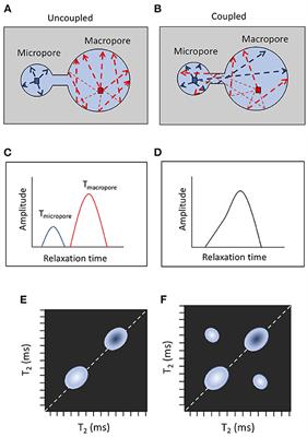 A critical mini-review on the low-field nuclear magnetic resonance investigation of pore coupling effects in near-surface environments